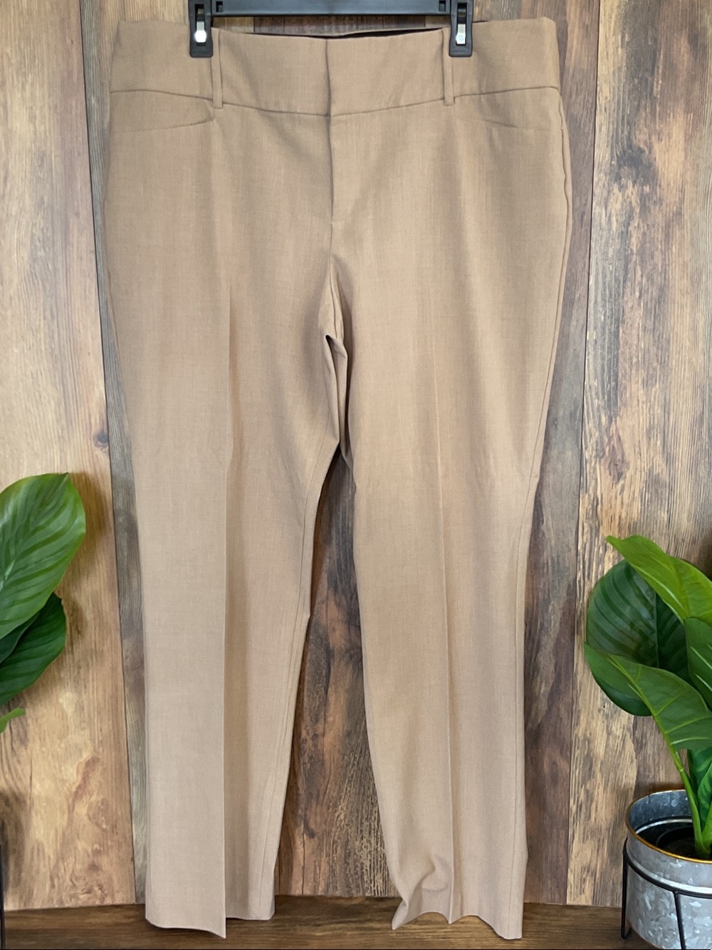 Apt. 9 Tailored Straight-Leg Trouser Pants 16 W487